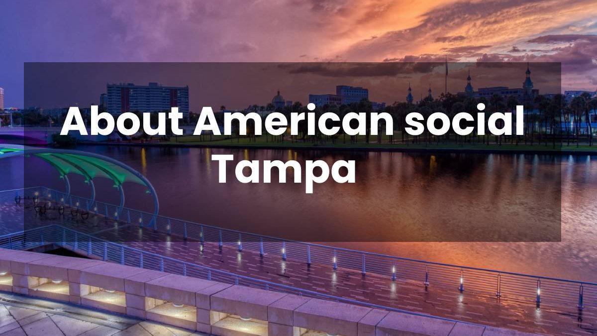 About American social Tampa