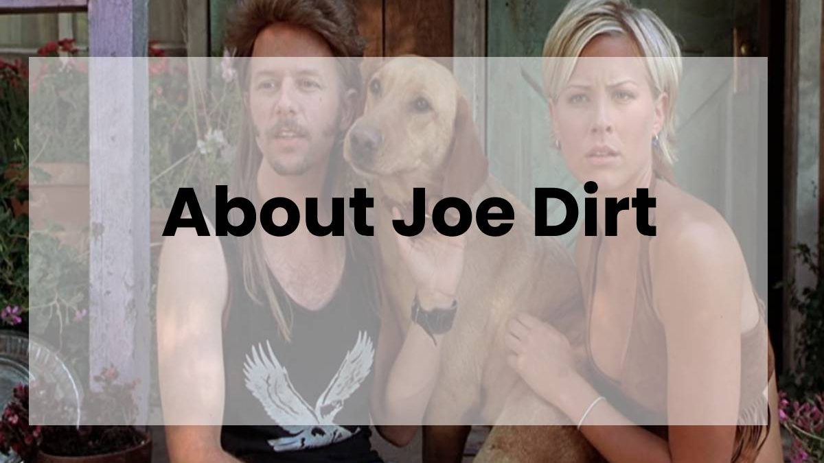 About Joe Dirt