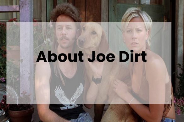 About Joe Dirt - In Stylish World