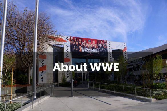 About WWE