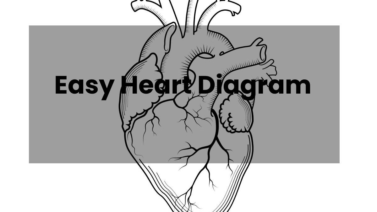 How to Draw Easy Heart Diagram