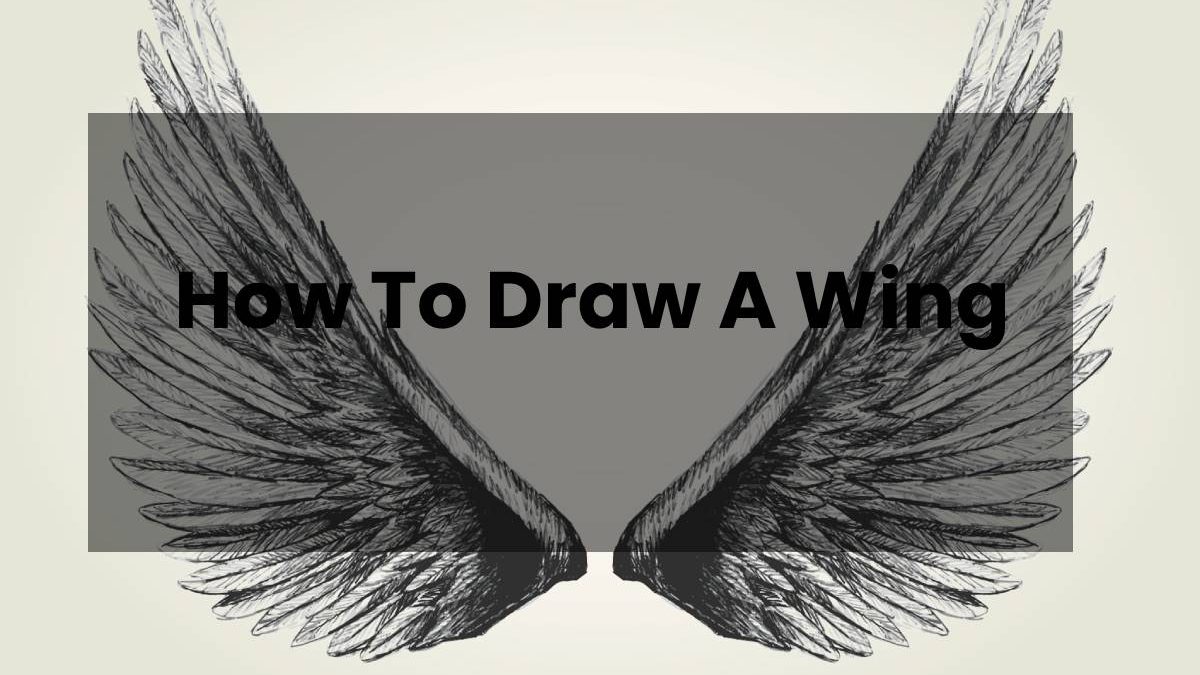 How To Draw A Wing