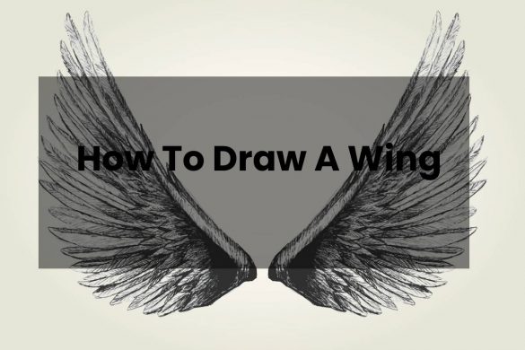 How To Draw A Wing