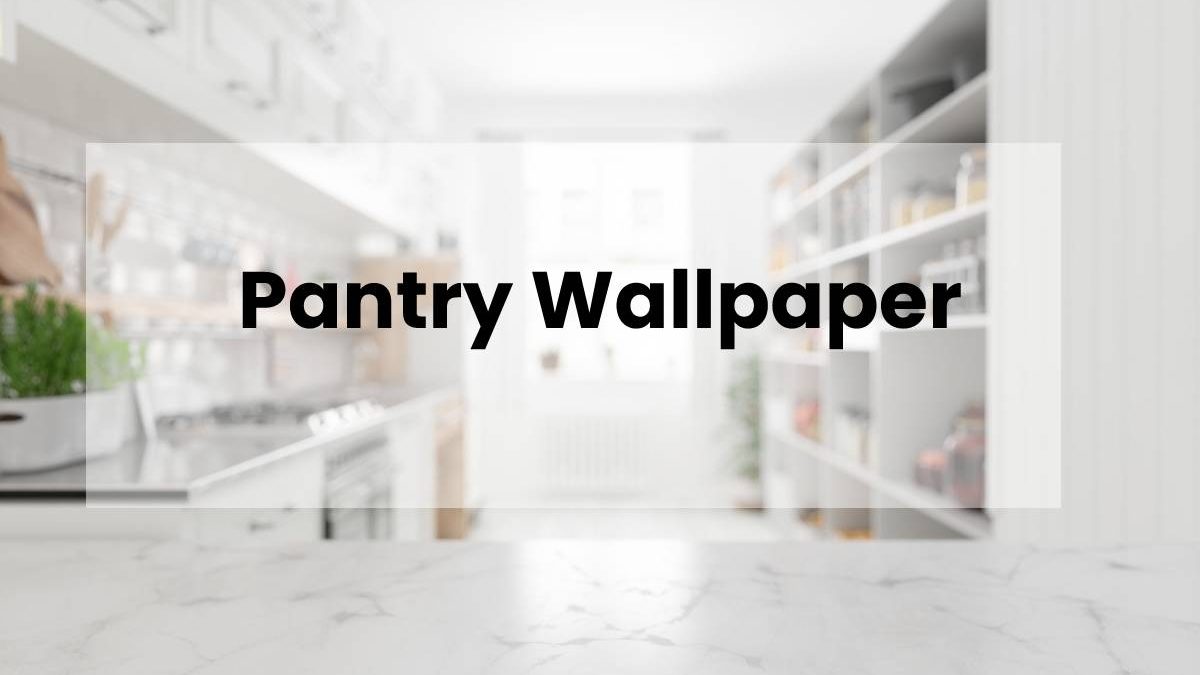 Pantry Wallpaper Concept