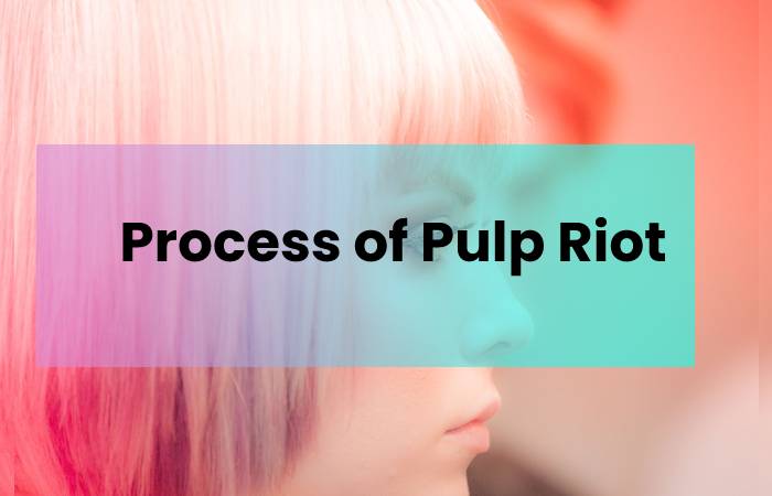 Process of Pulp Riot