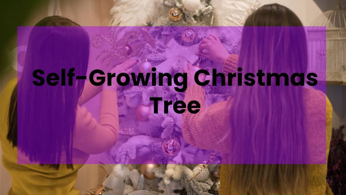 Self-Growing Christmas Tree