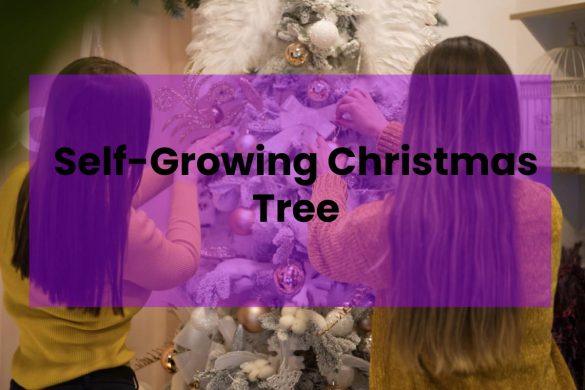 Self-Growing Christmas Tree