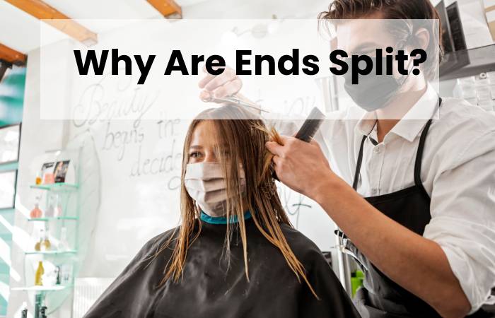 Why Are Ends Split?