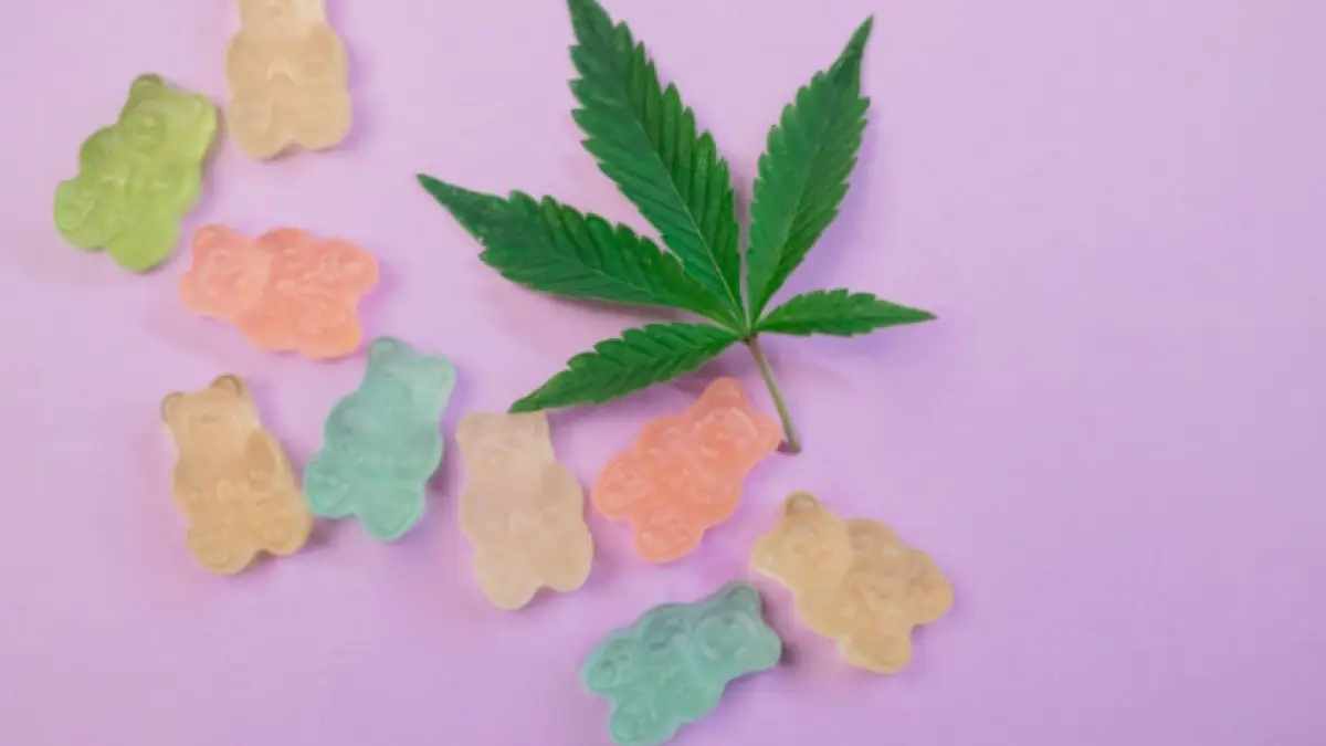 Here’s The Most Incredible Article about THC Gummies You’ll Ever Read
